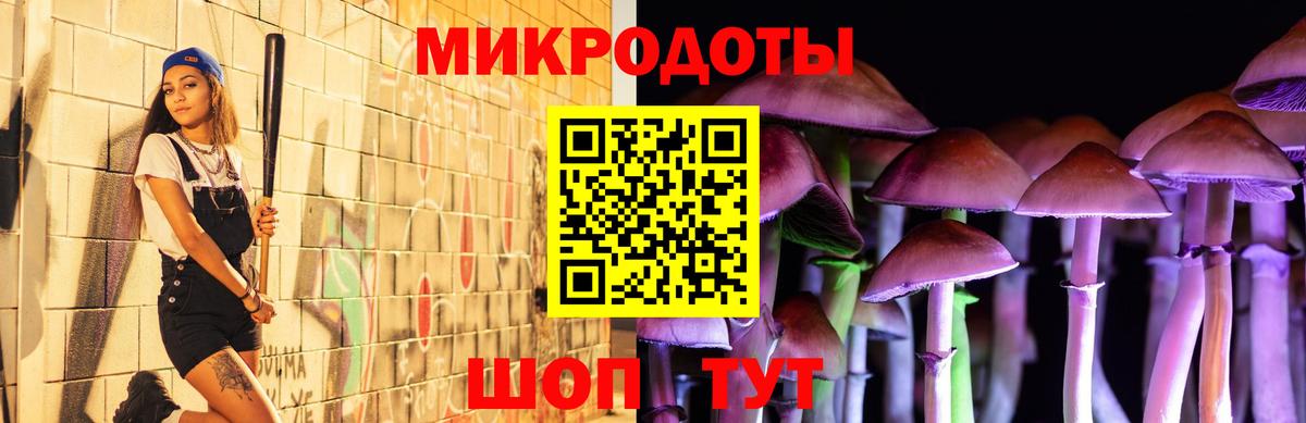 Галлюциногенные грибы MAGIC MUSHROOMS  Галлюциногенные грибы Cubensis  Биробиджан  Вход с VPN 